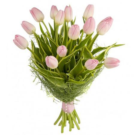 Букет из 15 розовых тюльпанов «Дива»